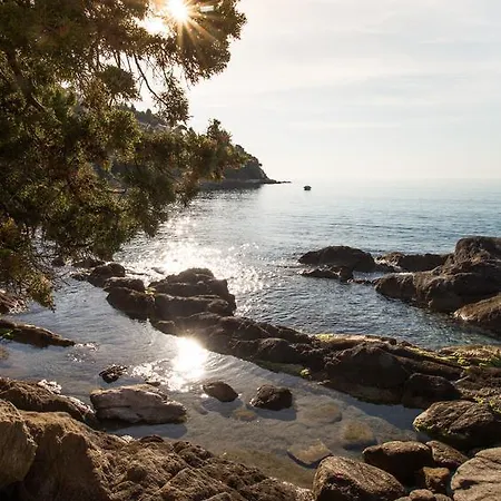T2 Confort Proche Plage, Climatisation, Parking Inclus Apartment Le Lavandou